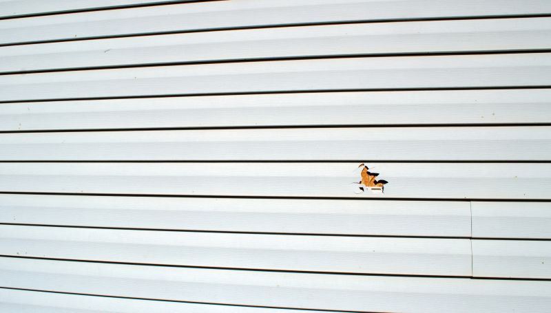 Expert Repair of Vinyl Siding